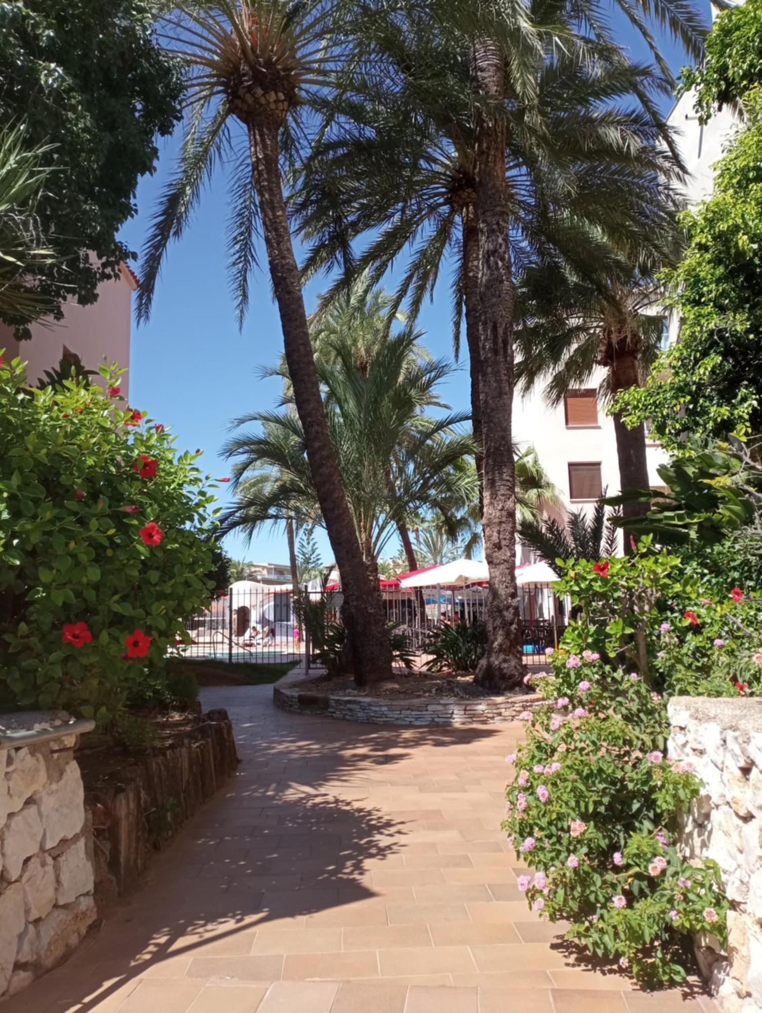 Apartamento Parchis Con Piscina Denia Exteriér fotografie